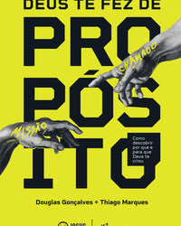 Deus te fez de propósito: Como descobrir por que e para que Deus te criou
