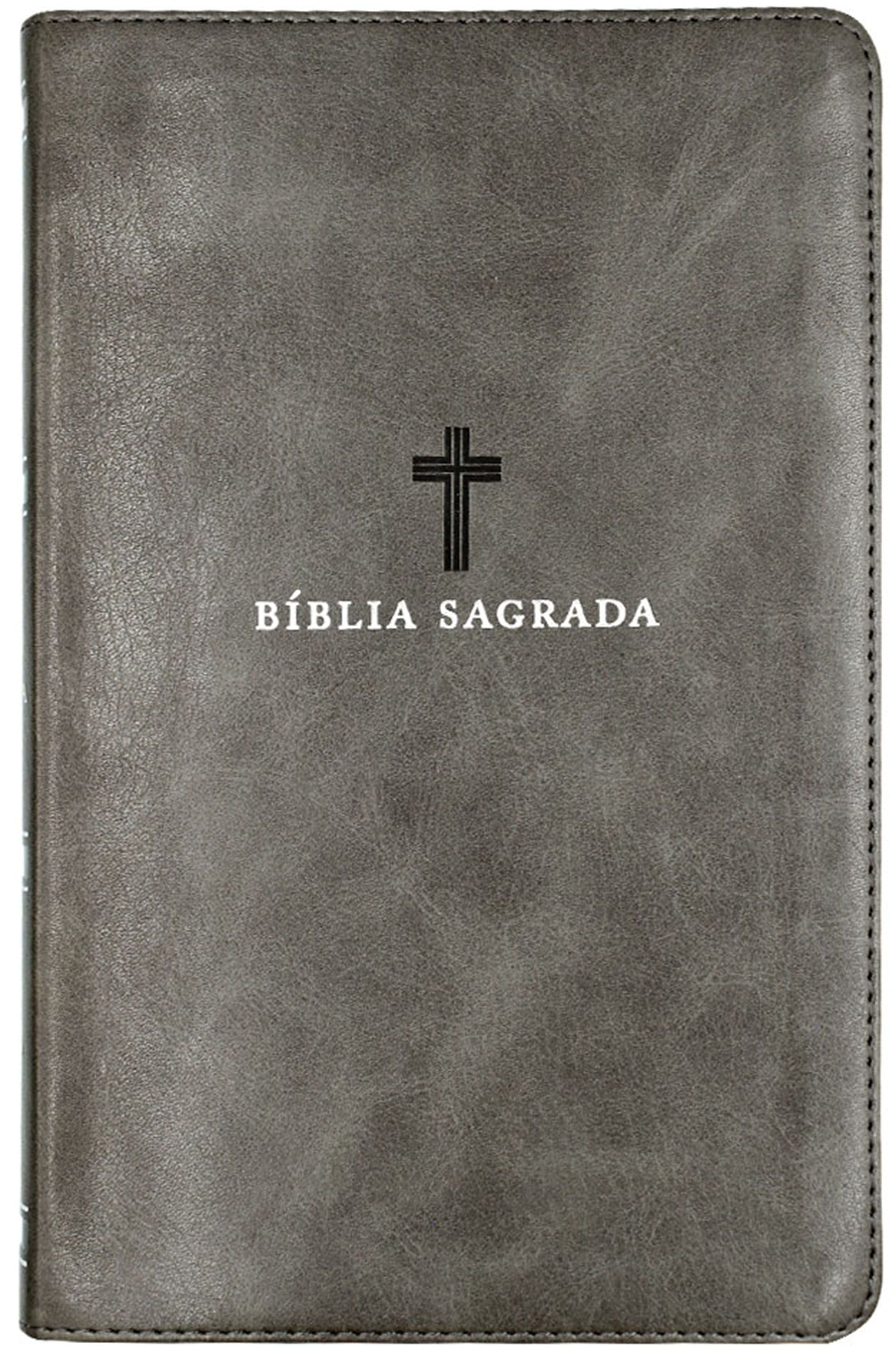 Bíblia Sagrada ACF, Letra Grande, Capa luxo cinza, Leitura