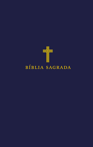 Bíblia NVI, Letra Grande, Capa luxo preta, Leitura Perfeita: original (9786556895635)