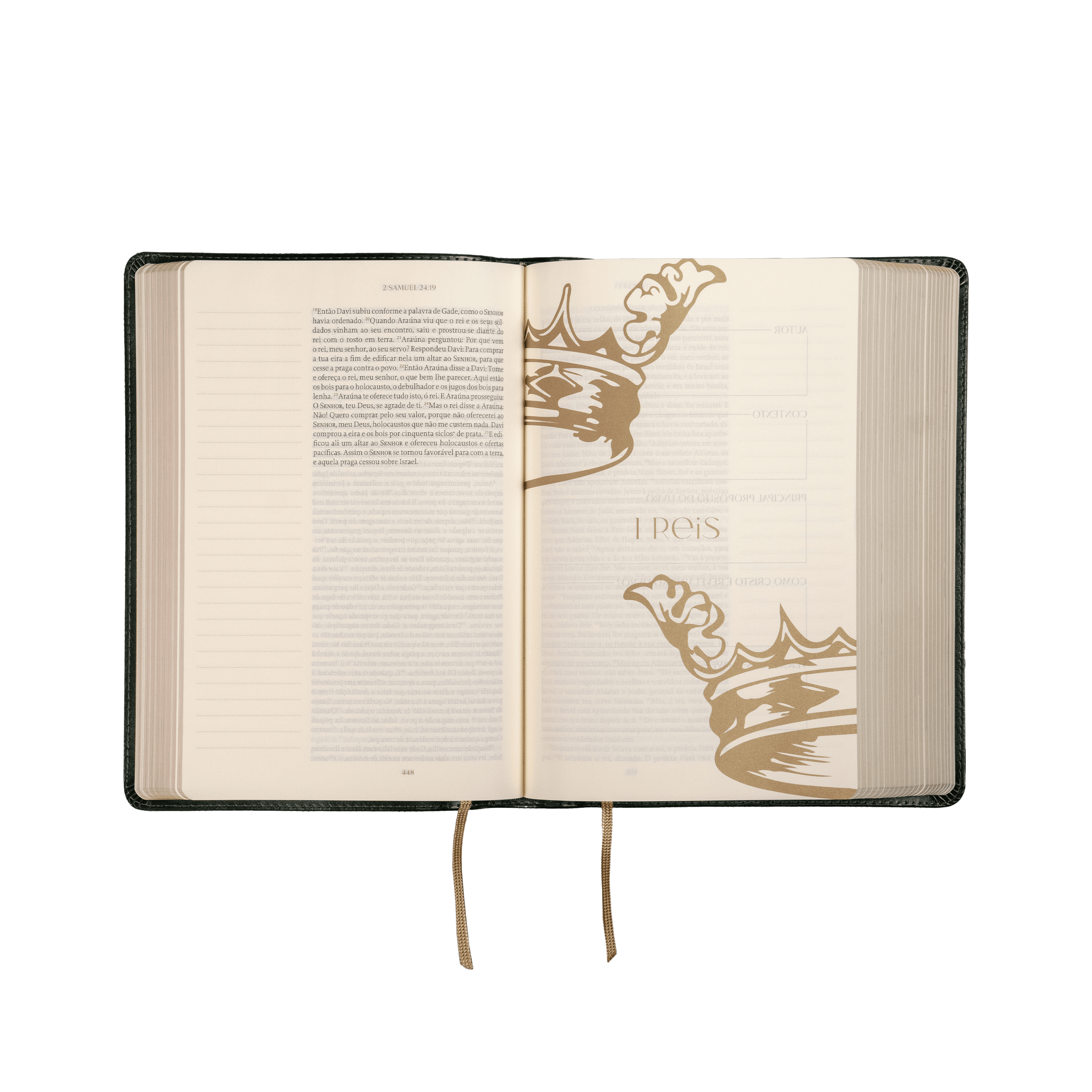 The Purpose Book: Bíblia de anotação, A21, Capa luxo verde – TN